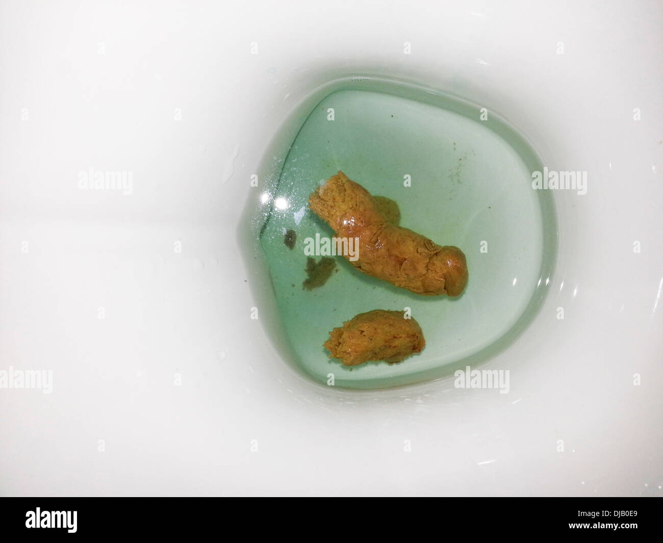 Human excrement for lab research Stock Photo