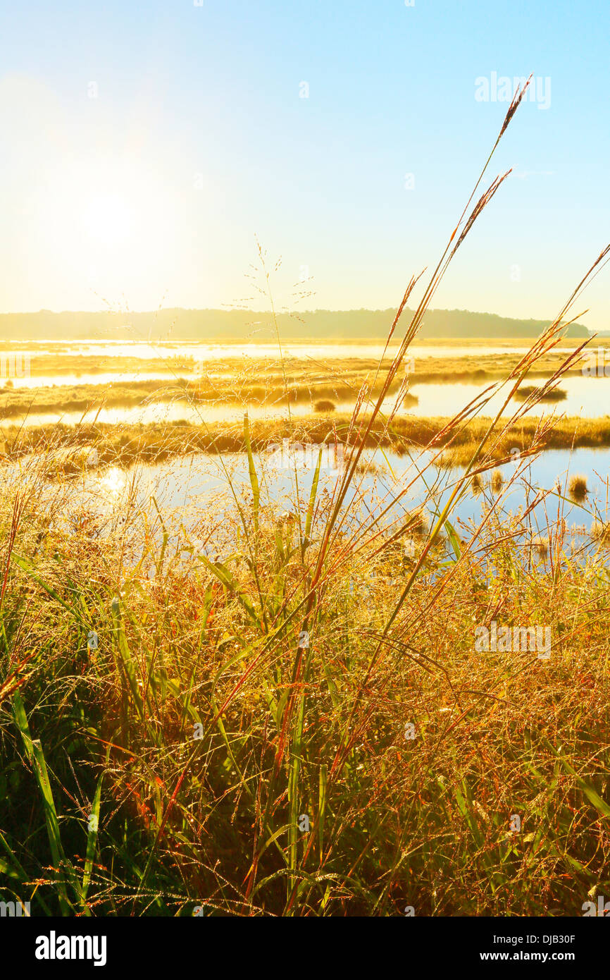 Sunrise, Scarborough Marsh.Eastern Trail.Scarborough, Maine, USA Stock