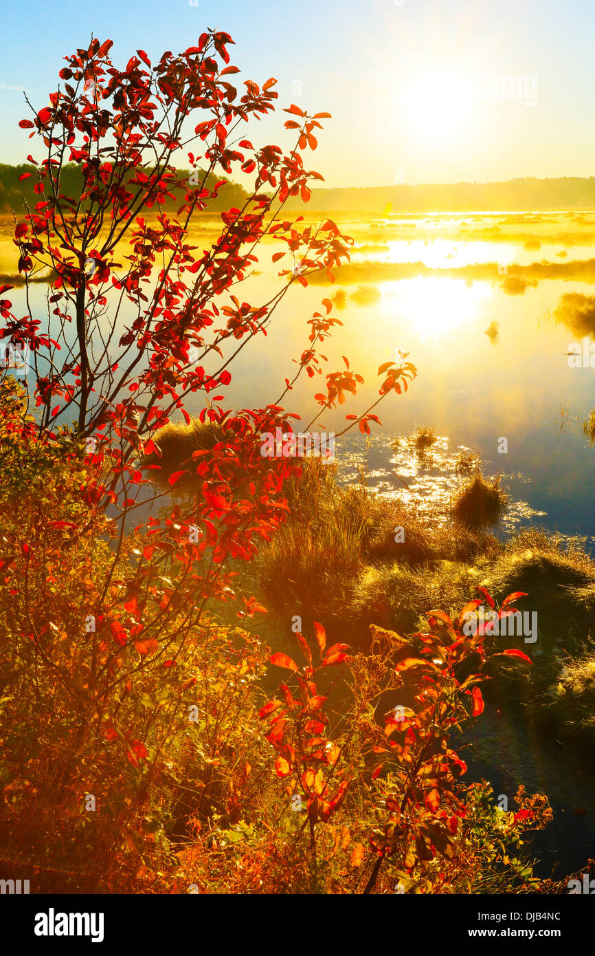 Sunrise, Scarborough Marsh.Eastern Trail.Scarborough, Maine, USA Stock