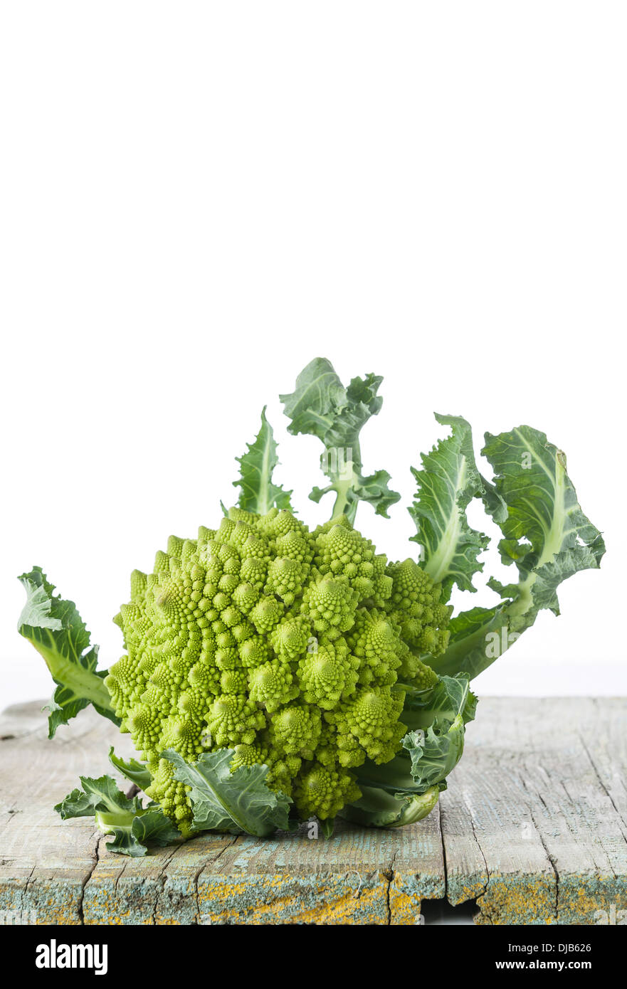 Cauliflower Romanesco on white background Stock Photo