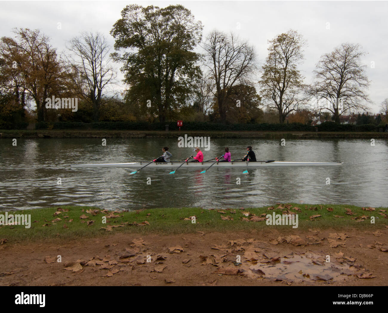 Rowing oxford hires stock photography and images Alamy
