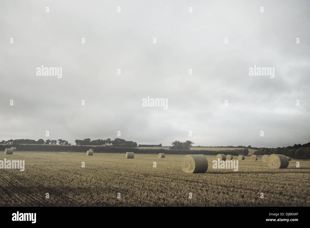 Landscape with bales of straw Stock Photo - Alamy