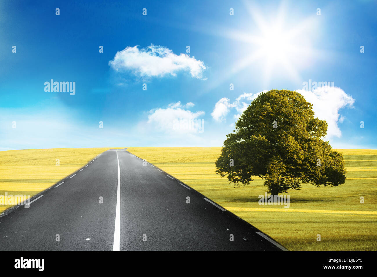 Sunny green landscape with street Stock Photo