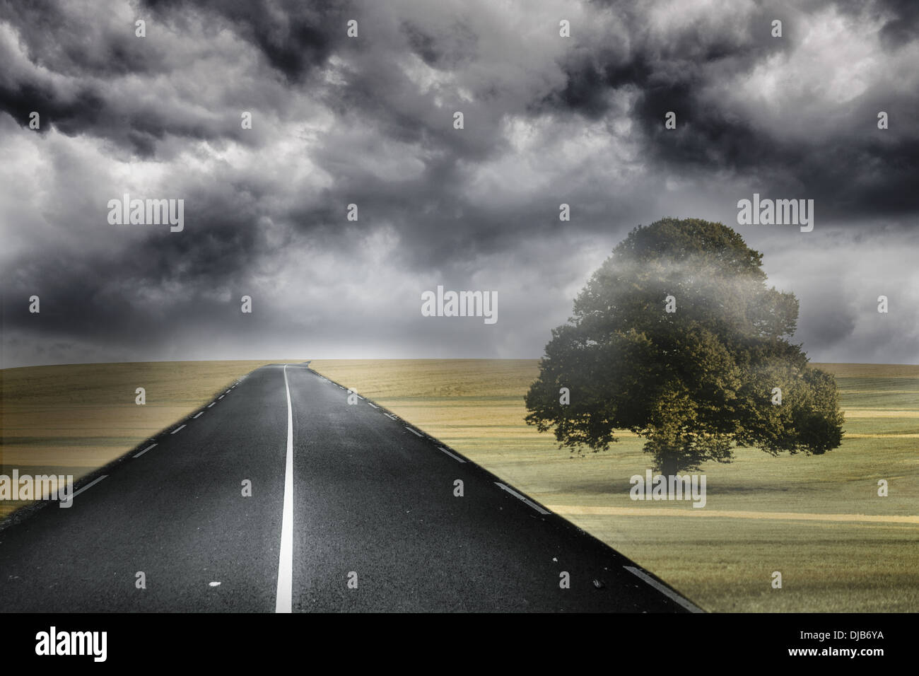 Misty green landscape with street Stock Photo