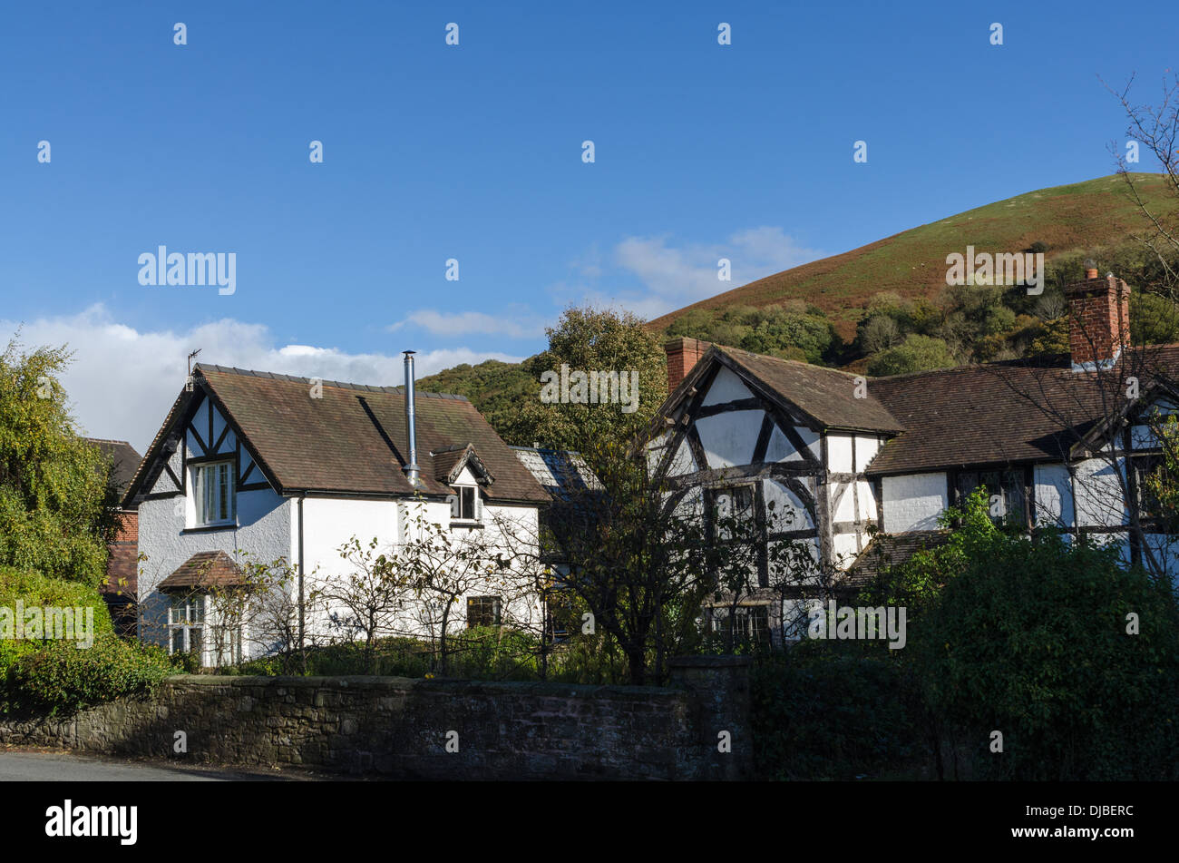 Timber framed houses hires stock photography and images Alamy