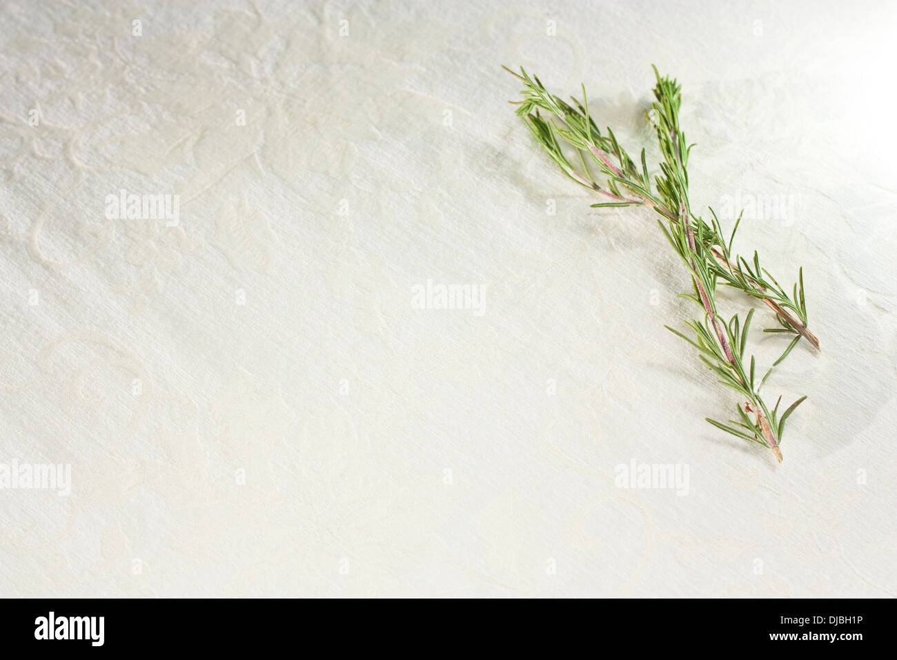 rosemary herb sprig background cooking wellness health Stock Photo