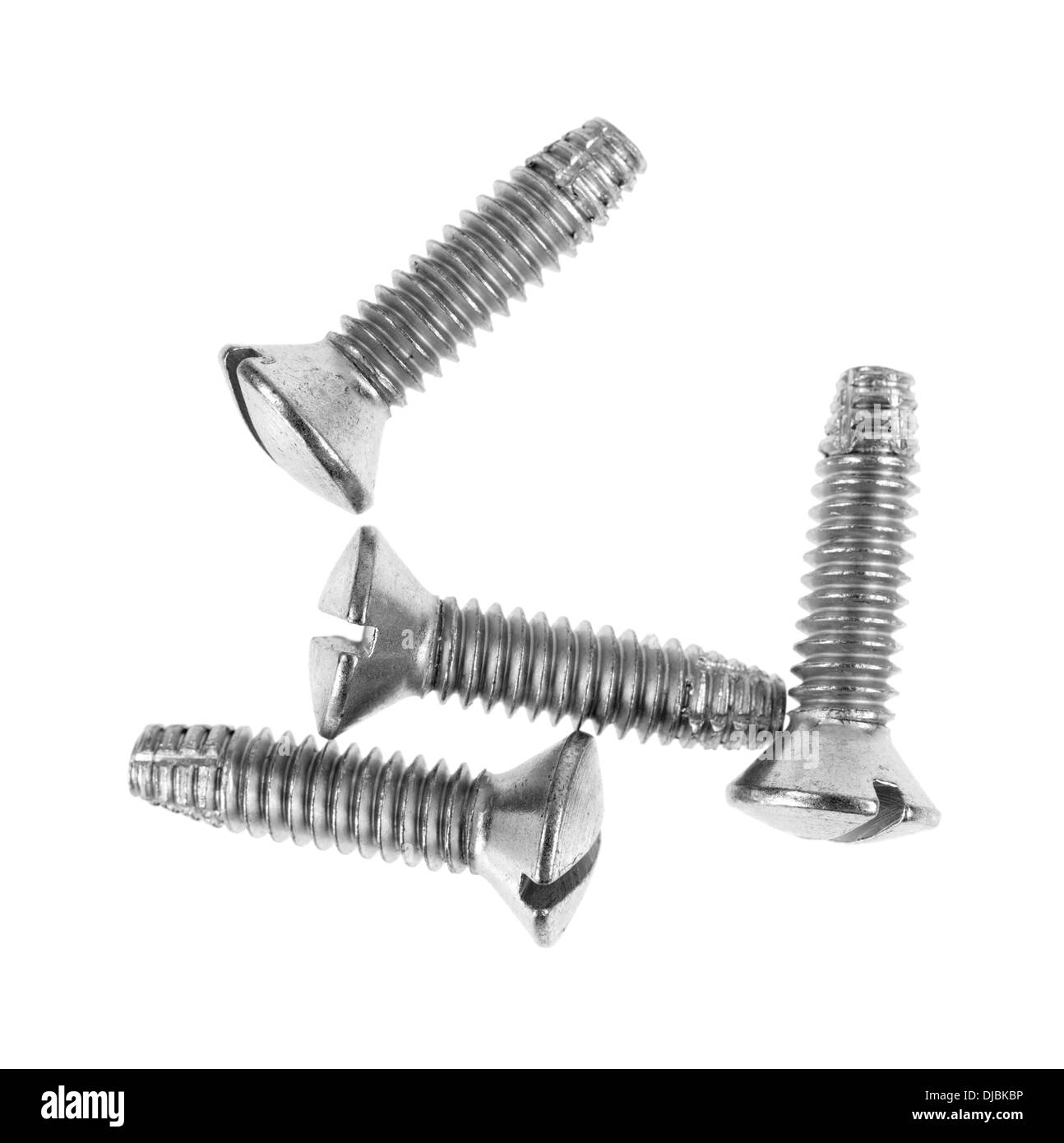 Four pan head thread cutting screws on a white background. Stock Photo