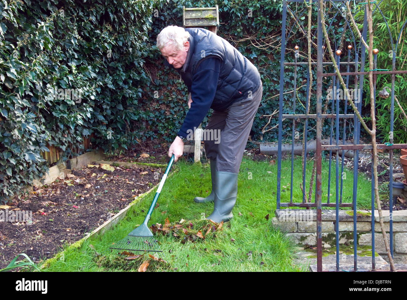 Male raking grass hires stock photography and images Alamy