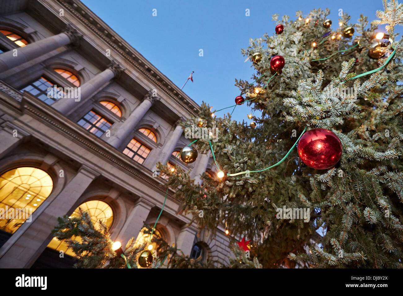 Berlin, Germany. November 26th, 2013. A stately 60 year old and 14 meters high from the Serbian spruce form forest office of the Pankow district adorns this year at Christmas time the fore court of the Berlin House of Representatives. Credit:  Reynaldo Chaib Paganelli/Alamy Live News Stock Photo
