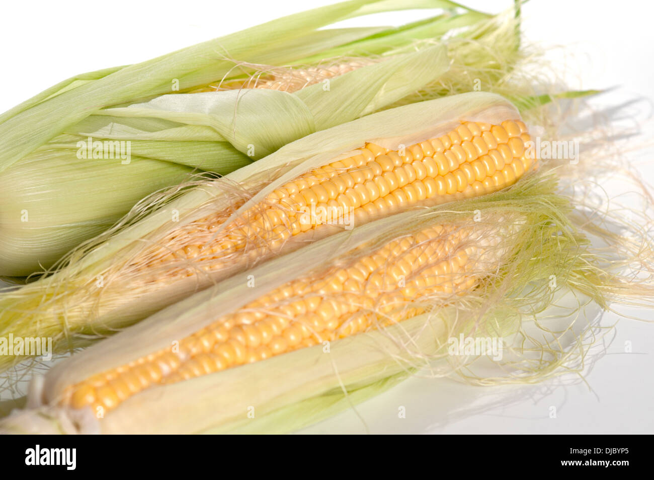 SWEET CORN CORN ON THE COB Stock Photo