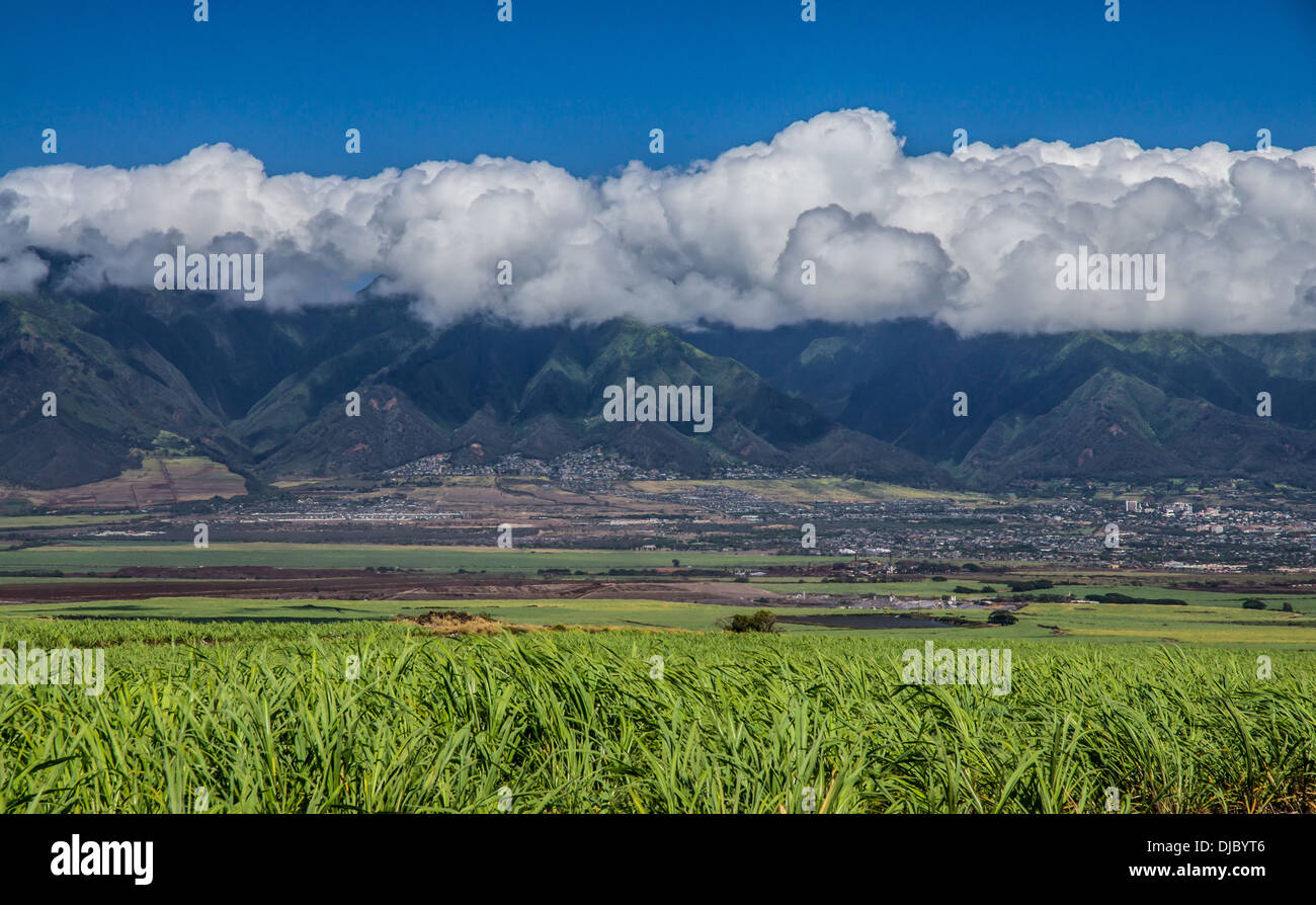 Looking west across sugarcane fields towards the town of Wailuku and the west Maui mountains Stock Photo