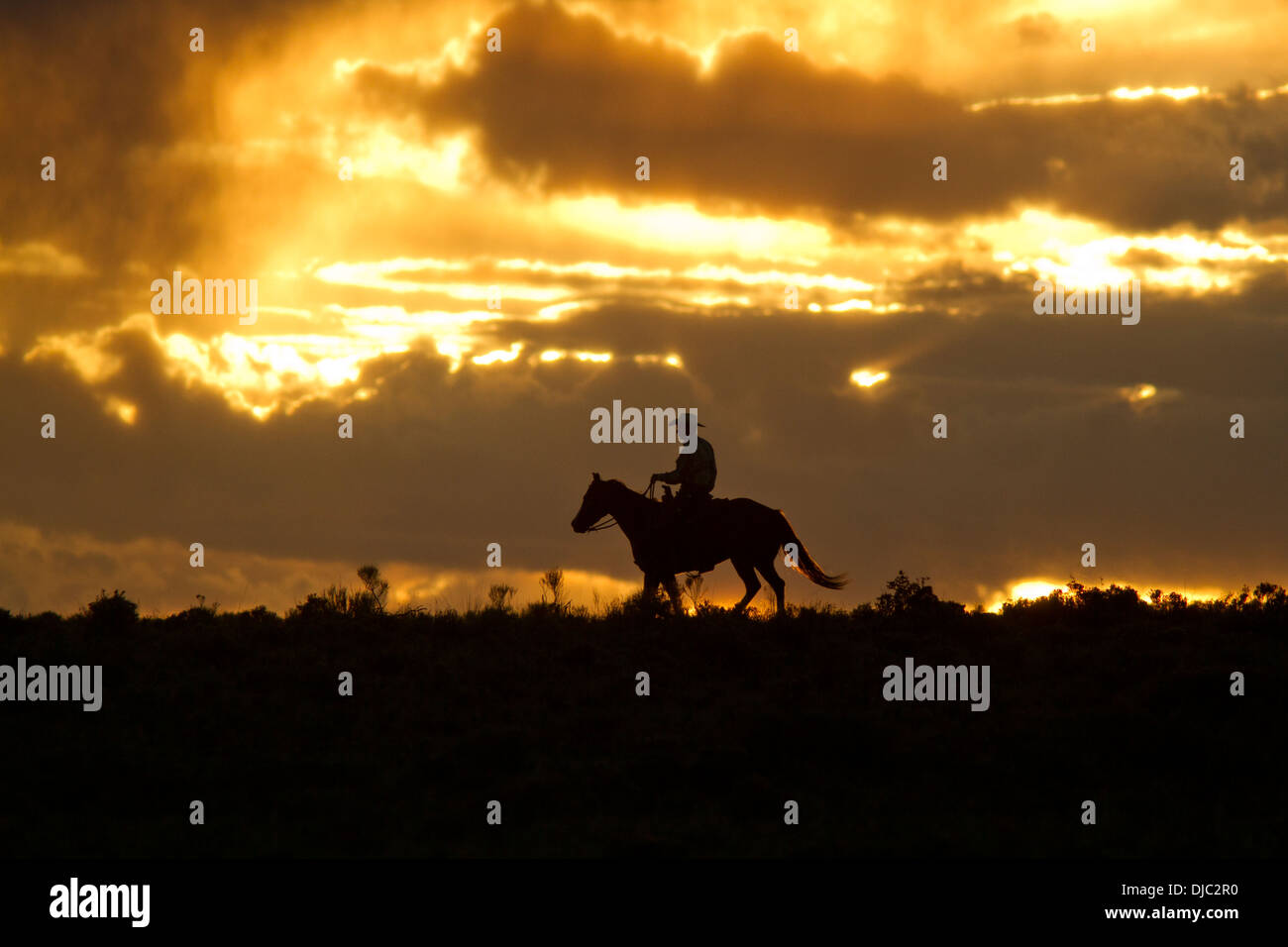 A Lone Cowboy on Horseback at Sunset Stock Photo