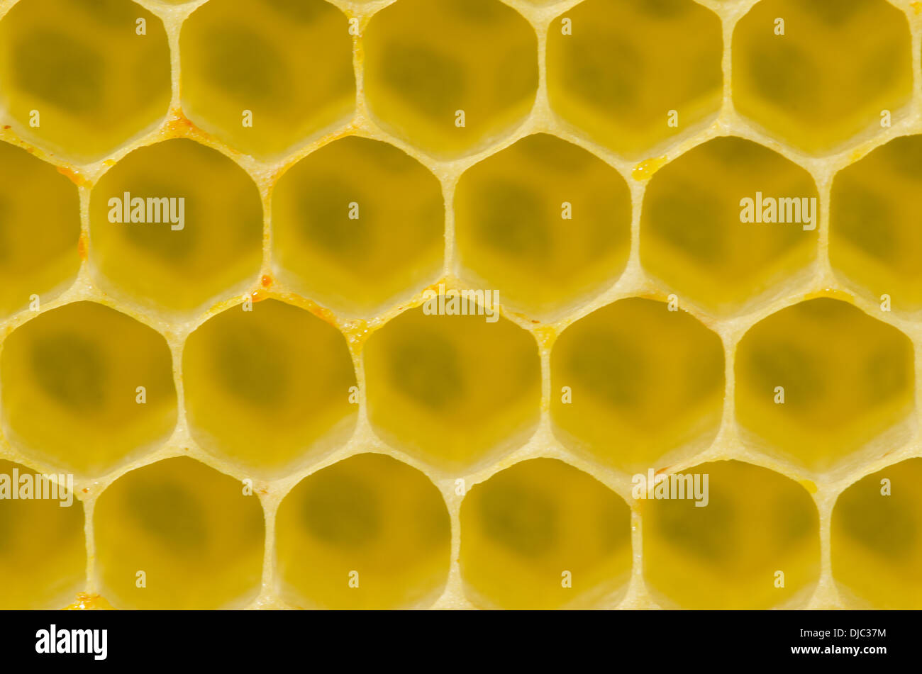 Honeycomb pattern with yellow empty cells in daylight Stock Photo