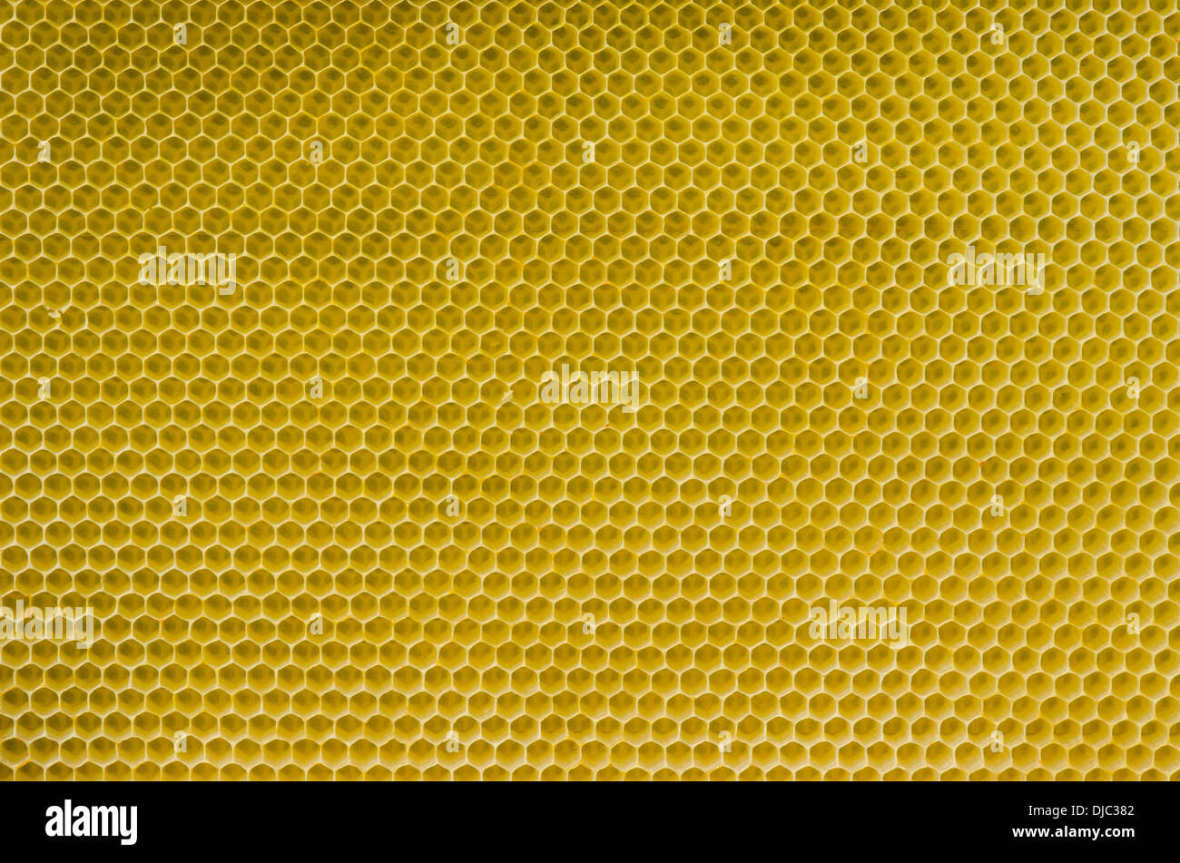 Honeycomb pattern with yellow empty cells in daylight Stock Photo