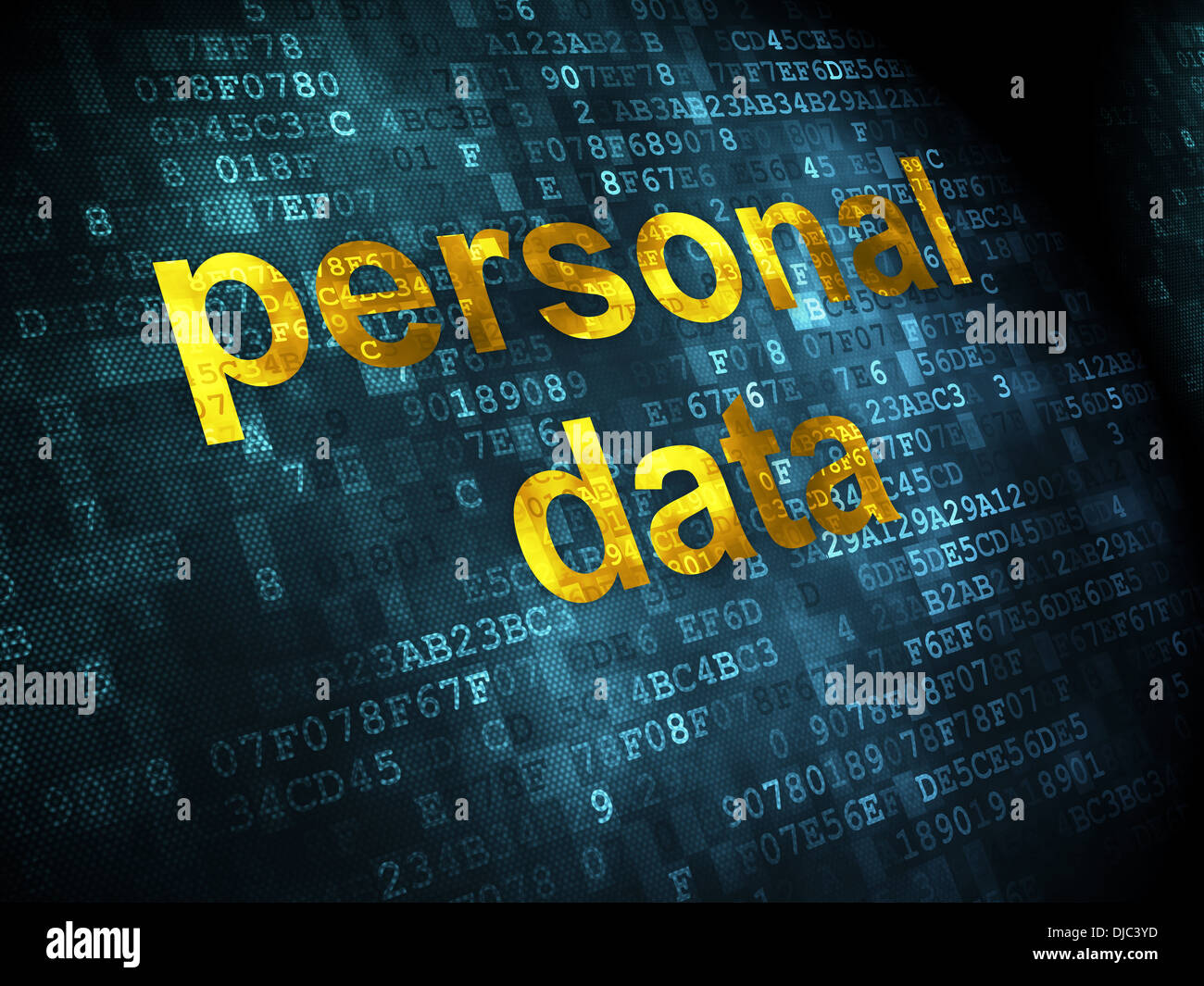 Information concept: Personal Data on digital background Stock Photo ...