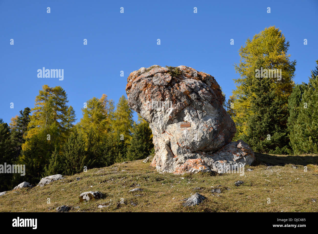 Menhir of S-Chanf, Lower Engadine, Canton of Grisons, Switzerland, Europe Stock Photo