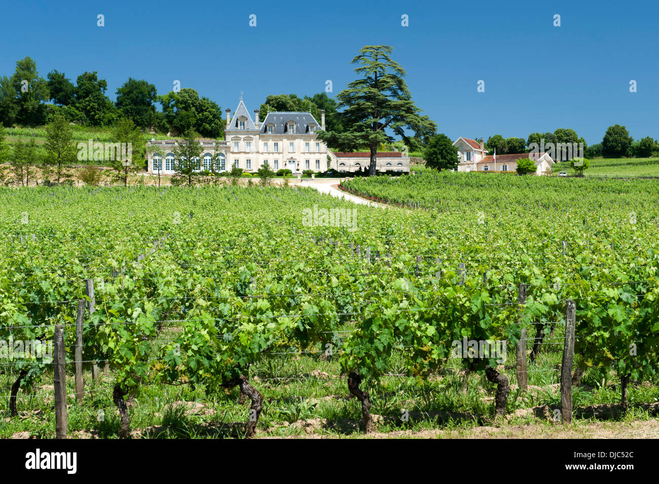 Chateau Fonplégade wine estate and vineyards in Saint-Émilion in the Gironde department in Aquitaine, France. Stock Photo