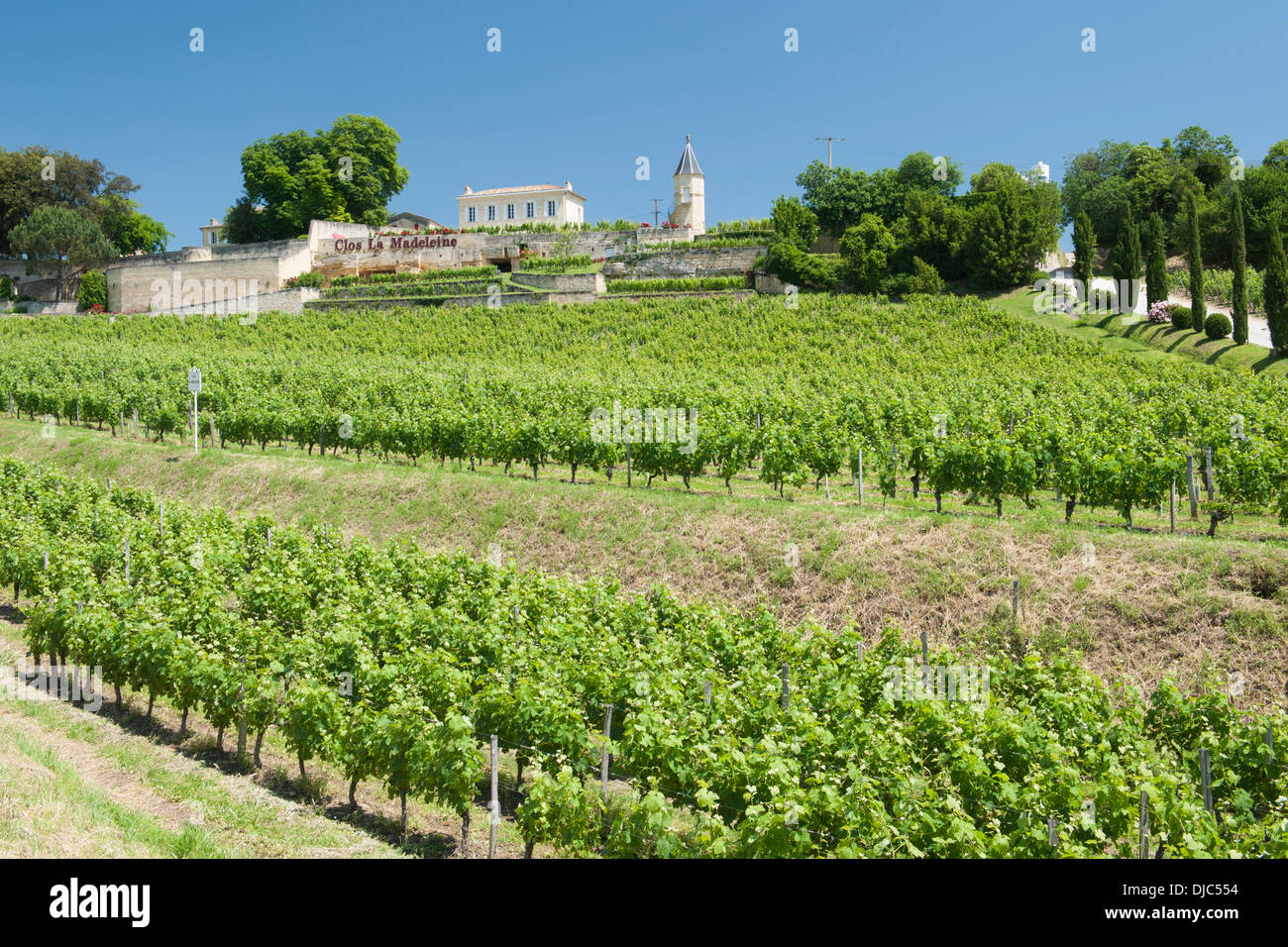Clos la Madeleine winery and vineyards in Saint-Émilion in the Gironde department in Aquitaine, France. Stock Photo