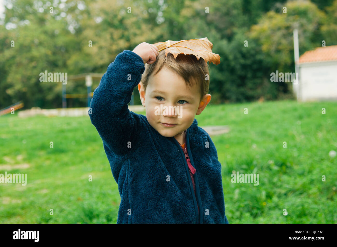 Small boy holding leaf on his head Stock Photo - Alamy