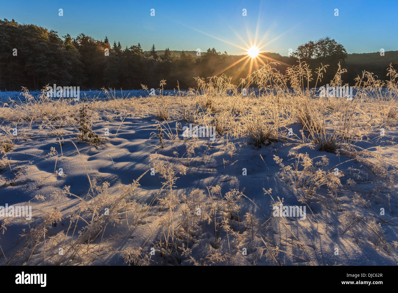 sunrise in the winter Stock Photo