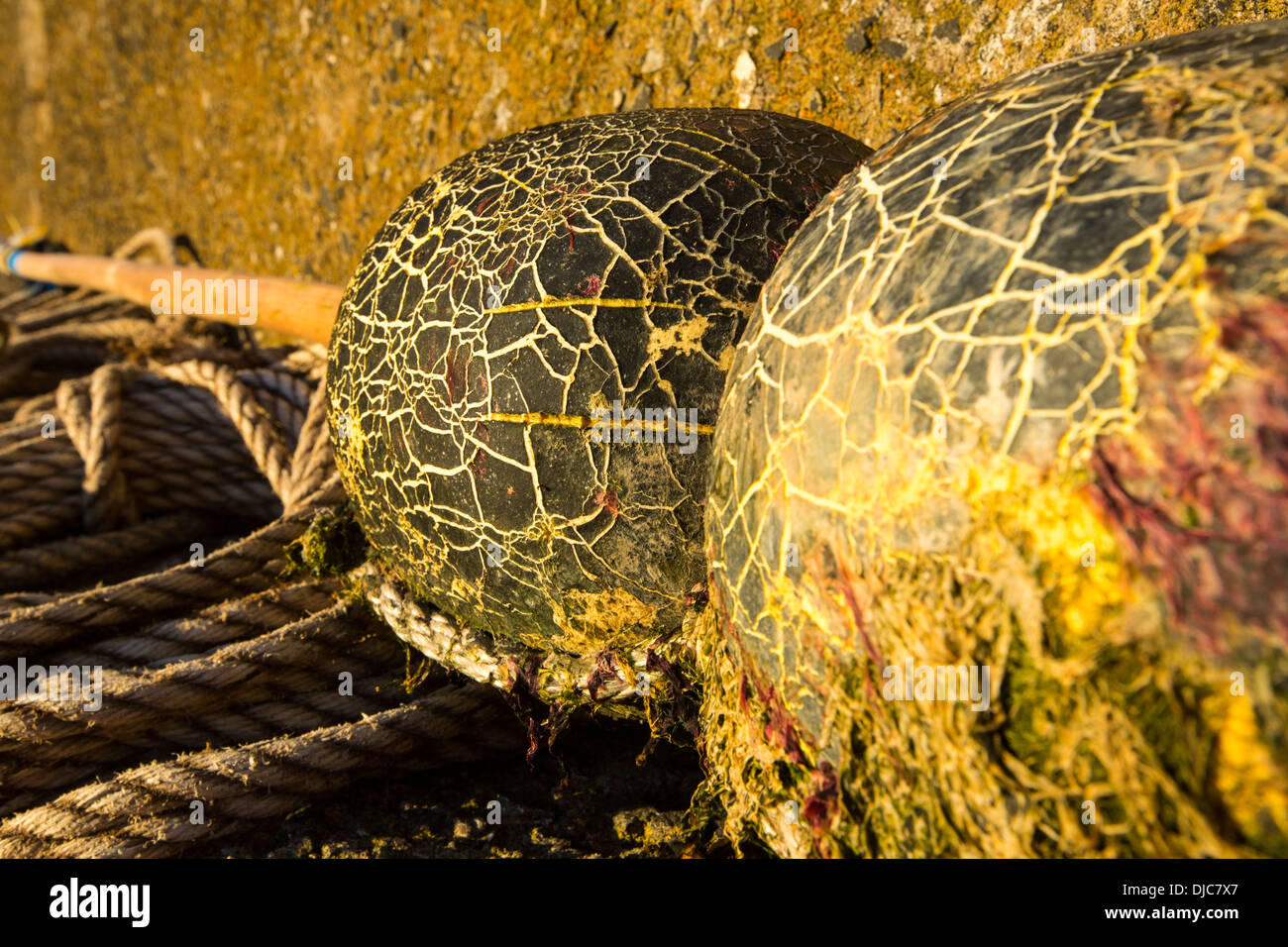 Crack patterns on floats on a lobster pot marker in Craster, Northumberland, UK, glowing at sunset. Stock Photo