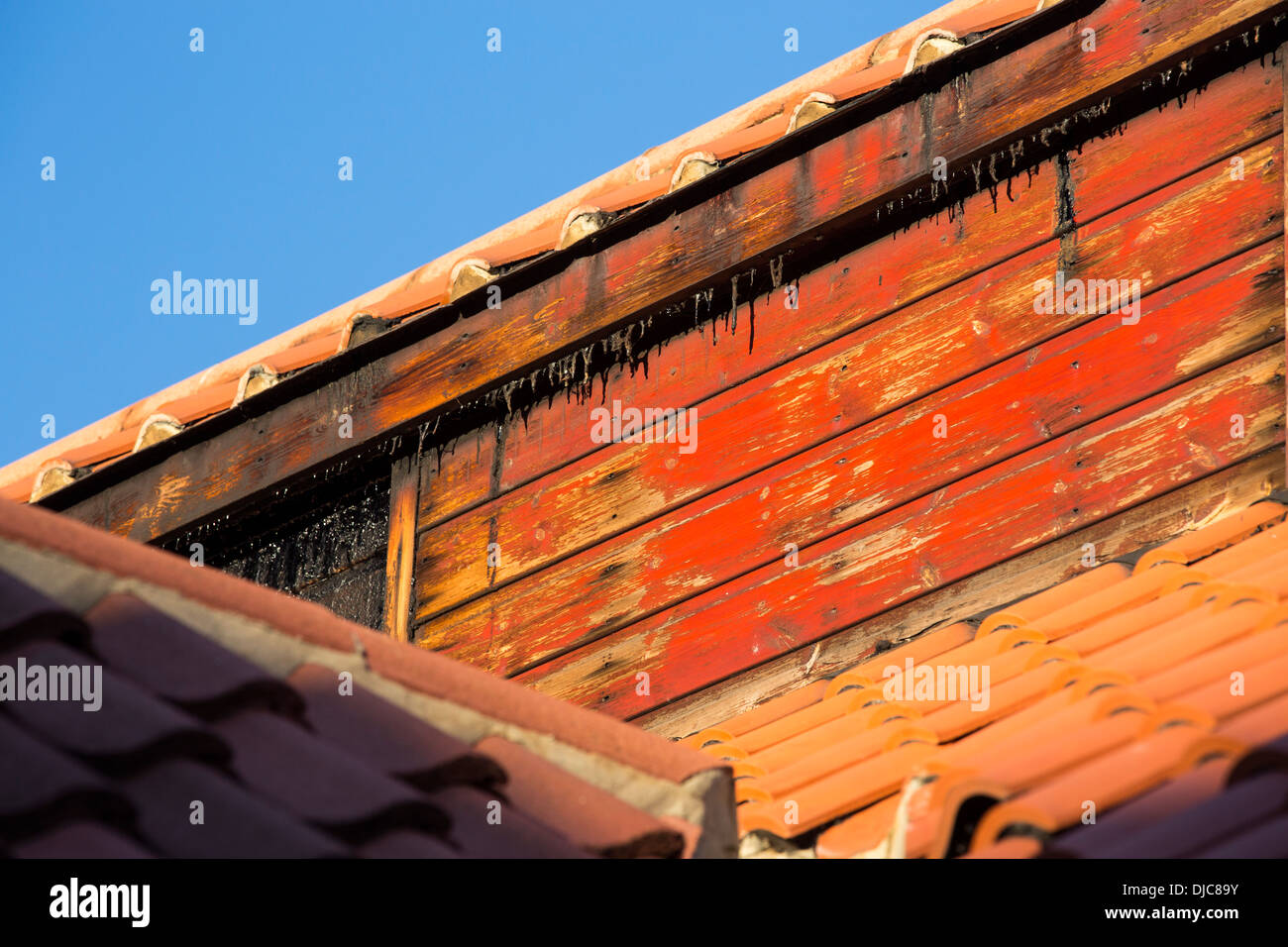 The smokery that produces the famous Craster Kipper, Craster