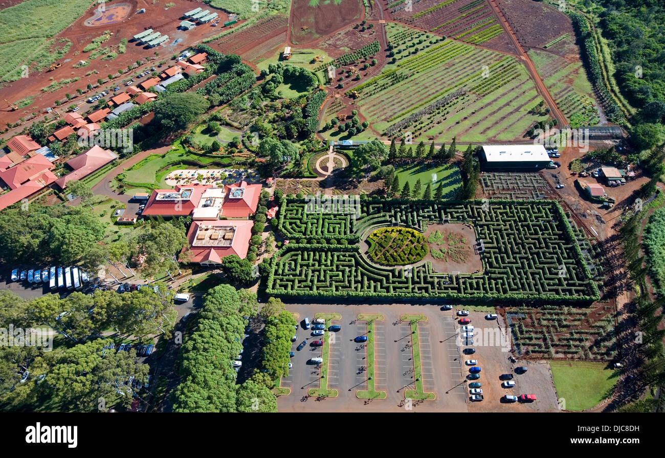 Dole Maze, Waipahu, Oahu, Hawaii Stock Photo Alamy