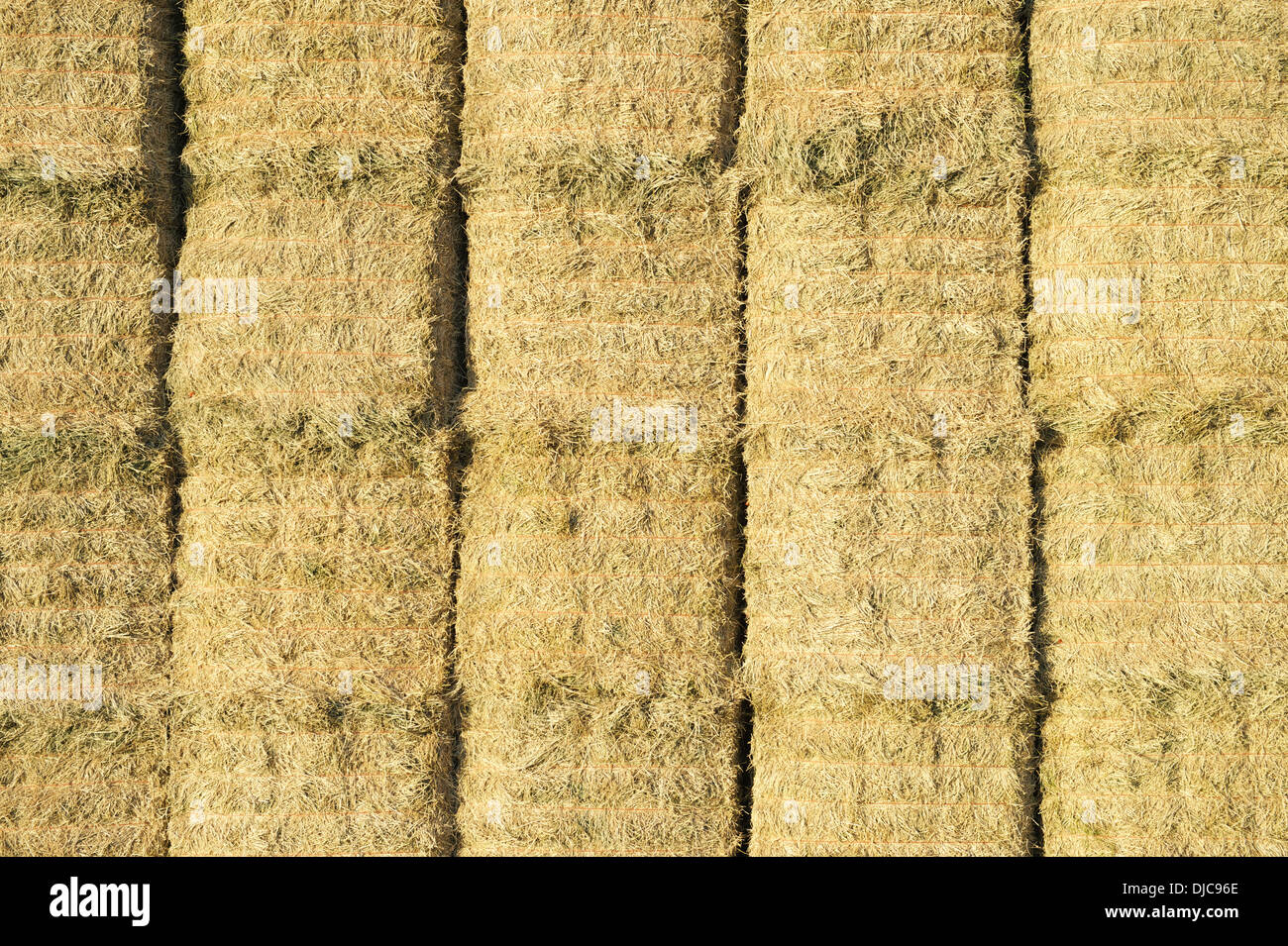 Hay bales line up in rectangular haystack for a textured agricultural background Stock Photo