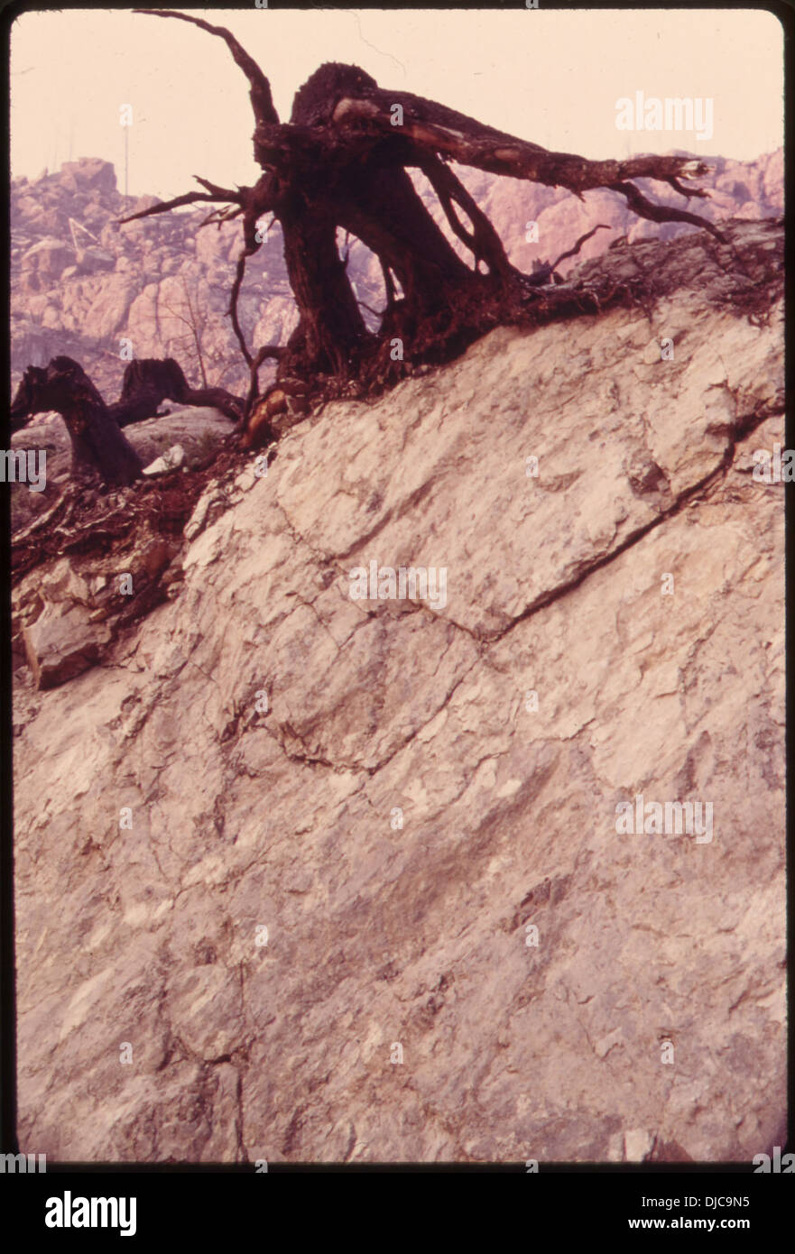 An example of erosion when steep slopes are clear cut. Timberland on