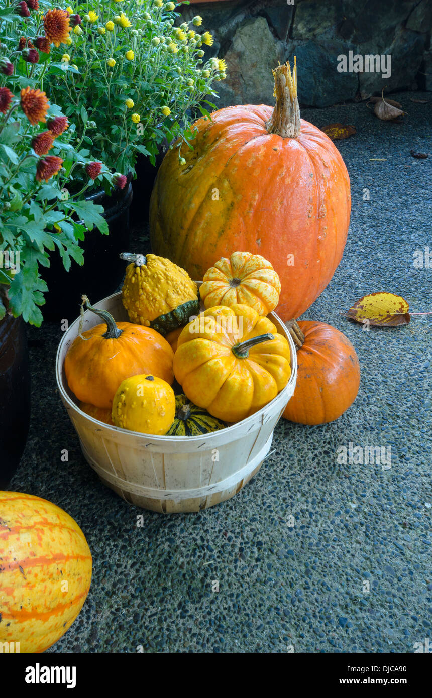 Fall Harvest Display Stock Photo Alamy