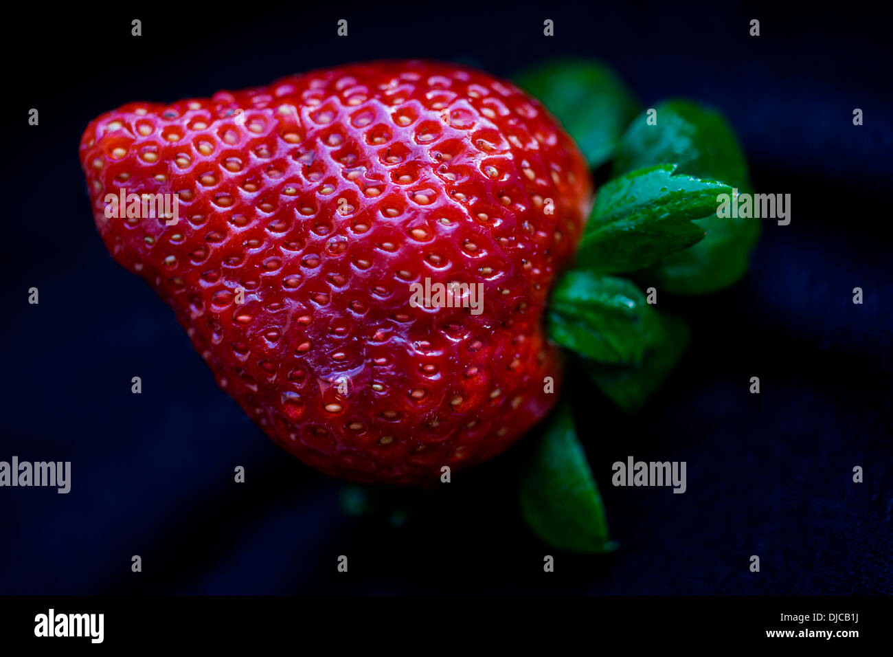 Portrait of a strawberry (macro shot) (Fragaria Stock Photo - Alamy