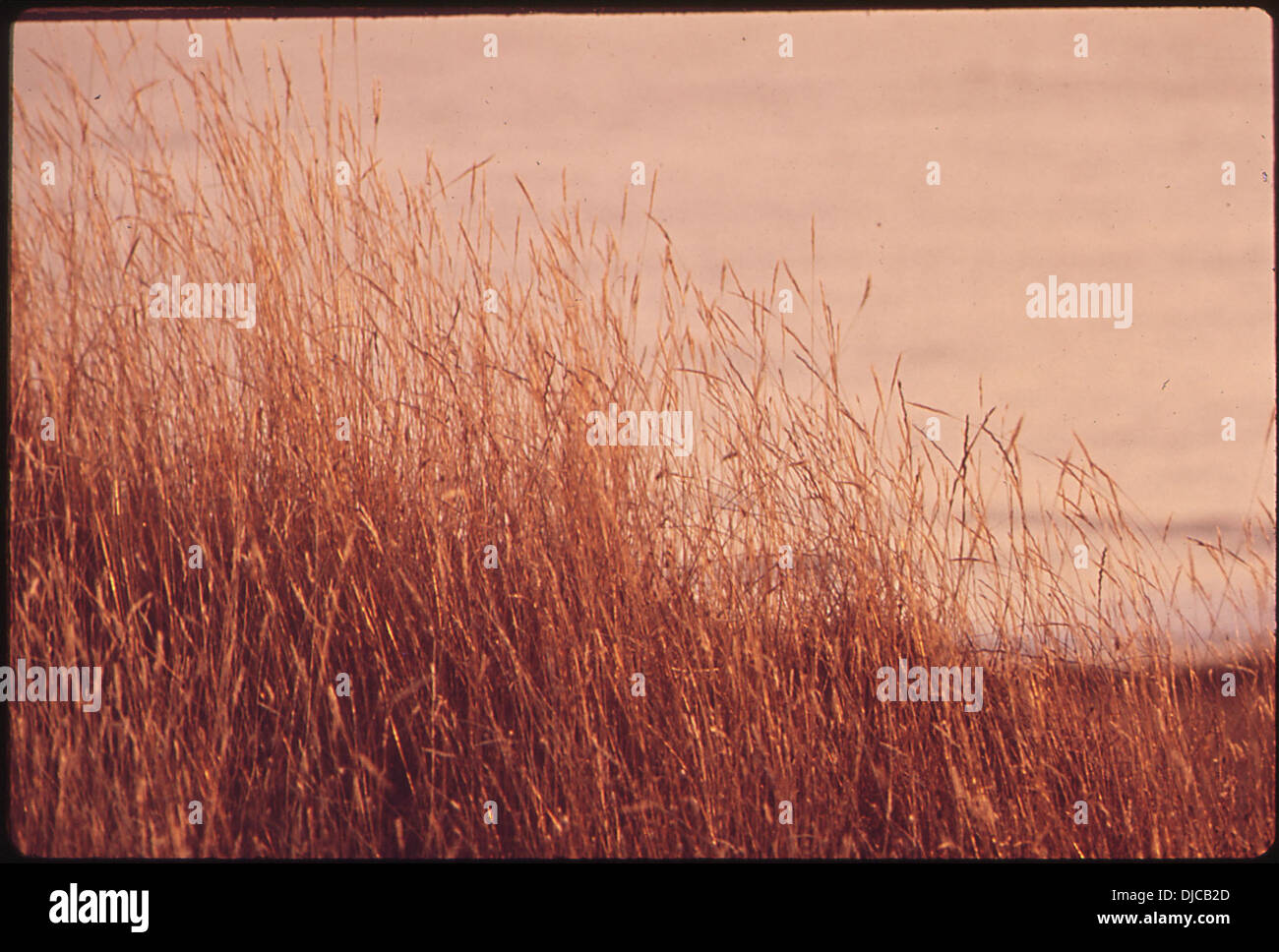 FILL LAND FOR SALE AT PONY SLOUGH 069 Stock Photo Alamy