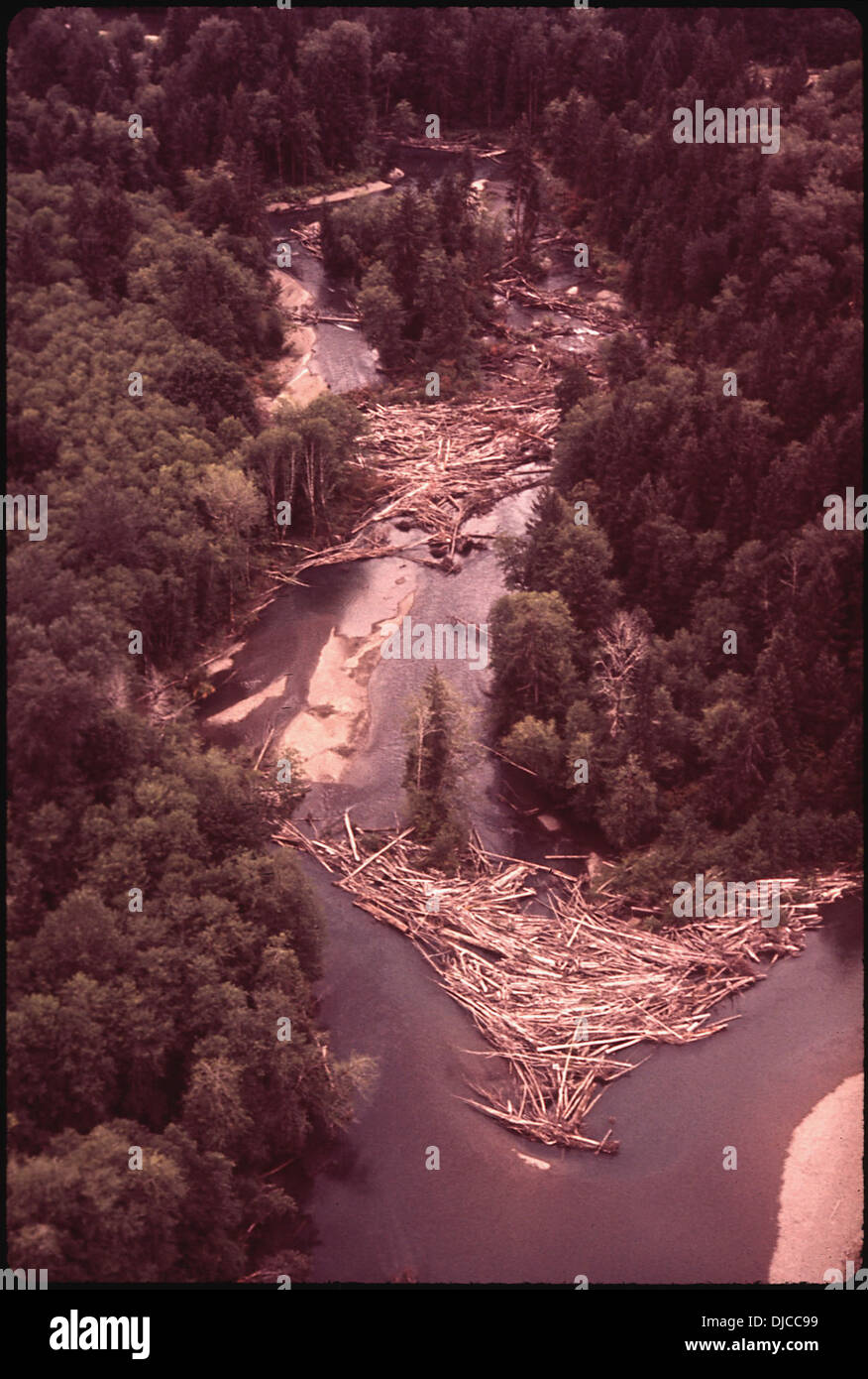 LOG JAM ON THE QUINAULT RIVER LEFT BY BUREAU OF INDIAN AFFAIRS LOGGING OPERATION 148 Stock Photo