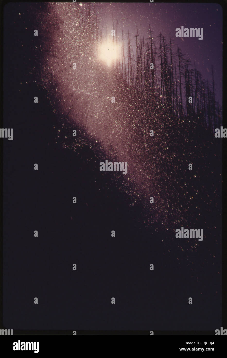 Water falling down the steep slope of a clear cut. An example of how