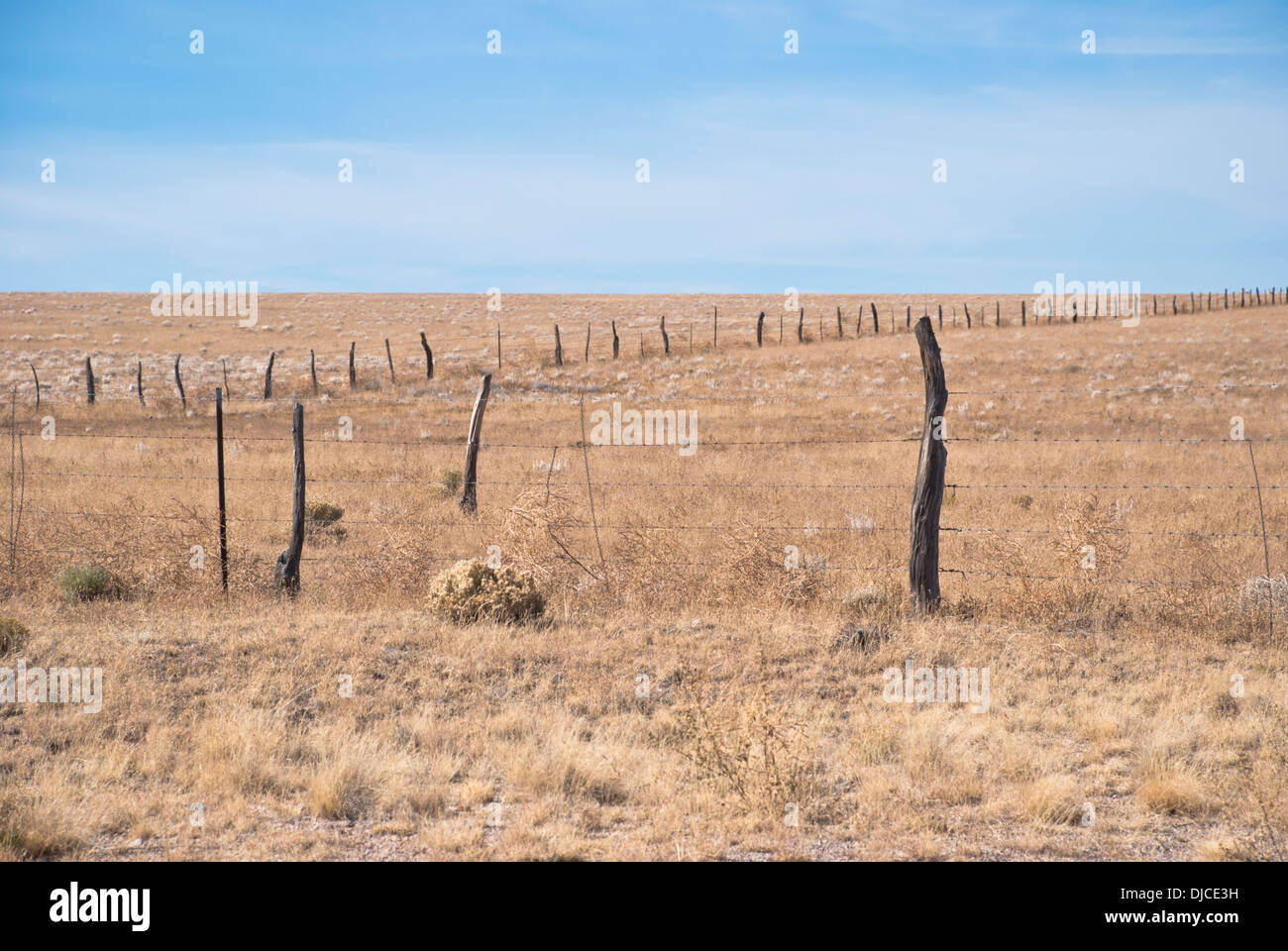 In New Mexico many fences have been in place over 100 years. Stock Photo