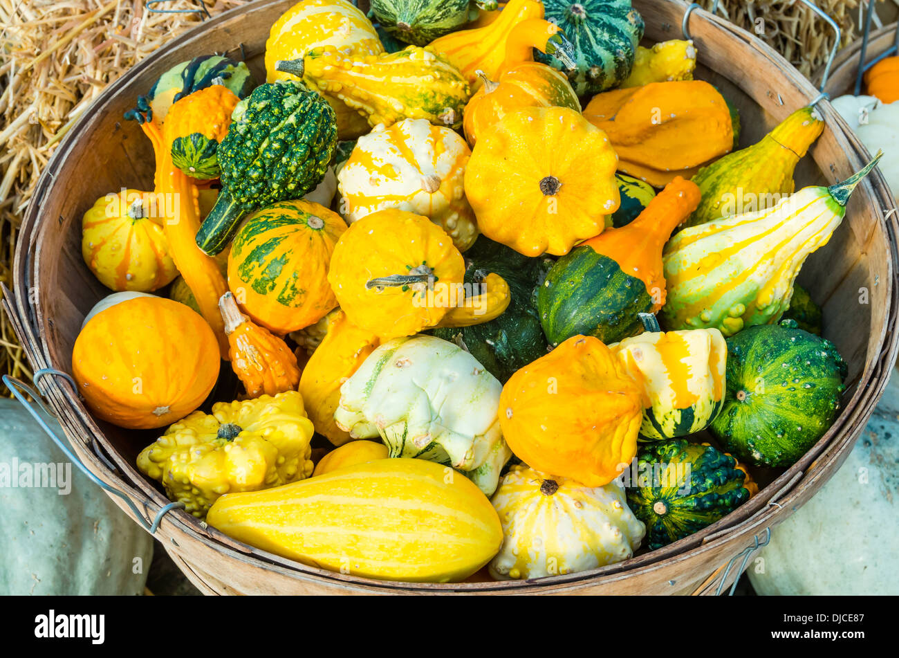 Decorative gourds on display in a basket at the farmers market Stock Photo