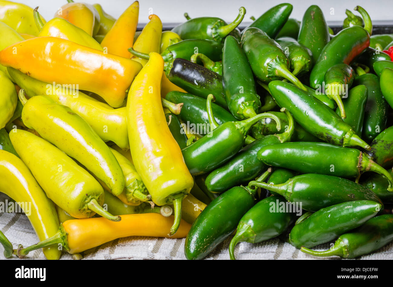A bulk display of colorful hot peppers ready for use in the kitchen