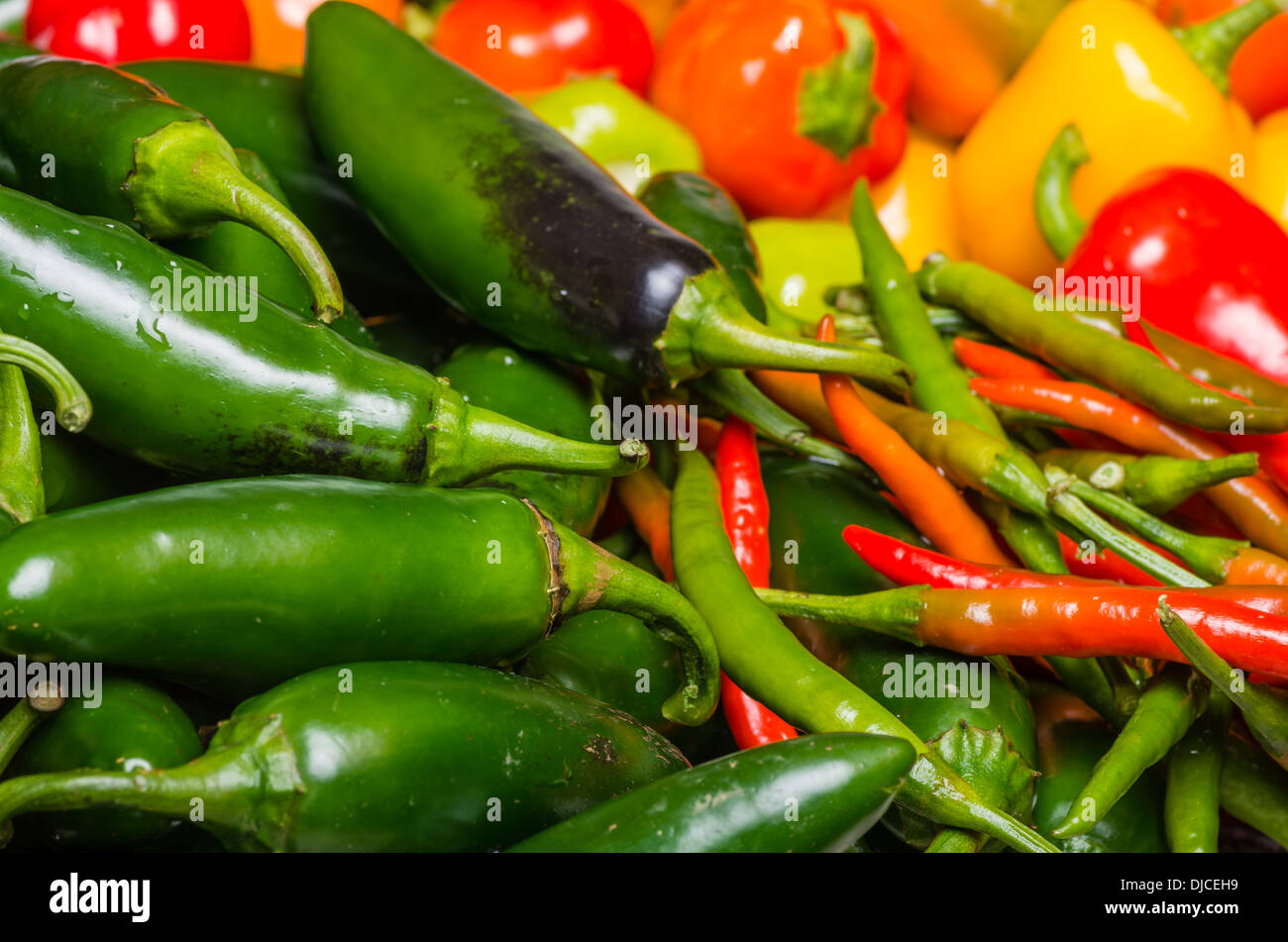 A bulk display of colorful hot peppers ready for use in the kitchen