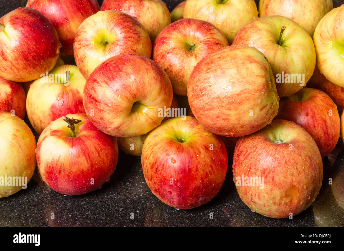 Fresh Jonagold apples just picked on kitchen counter ready to process