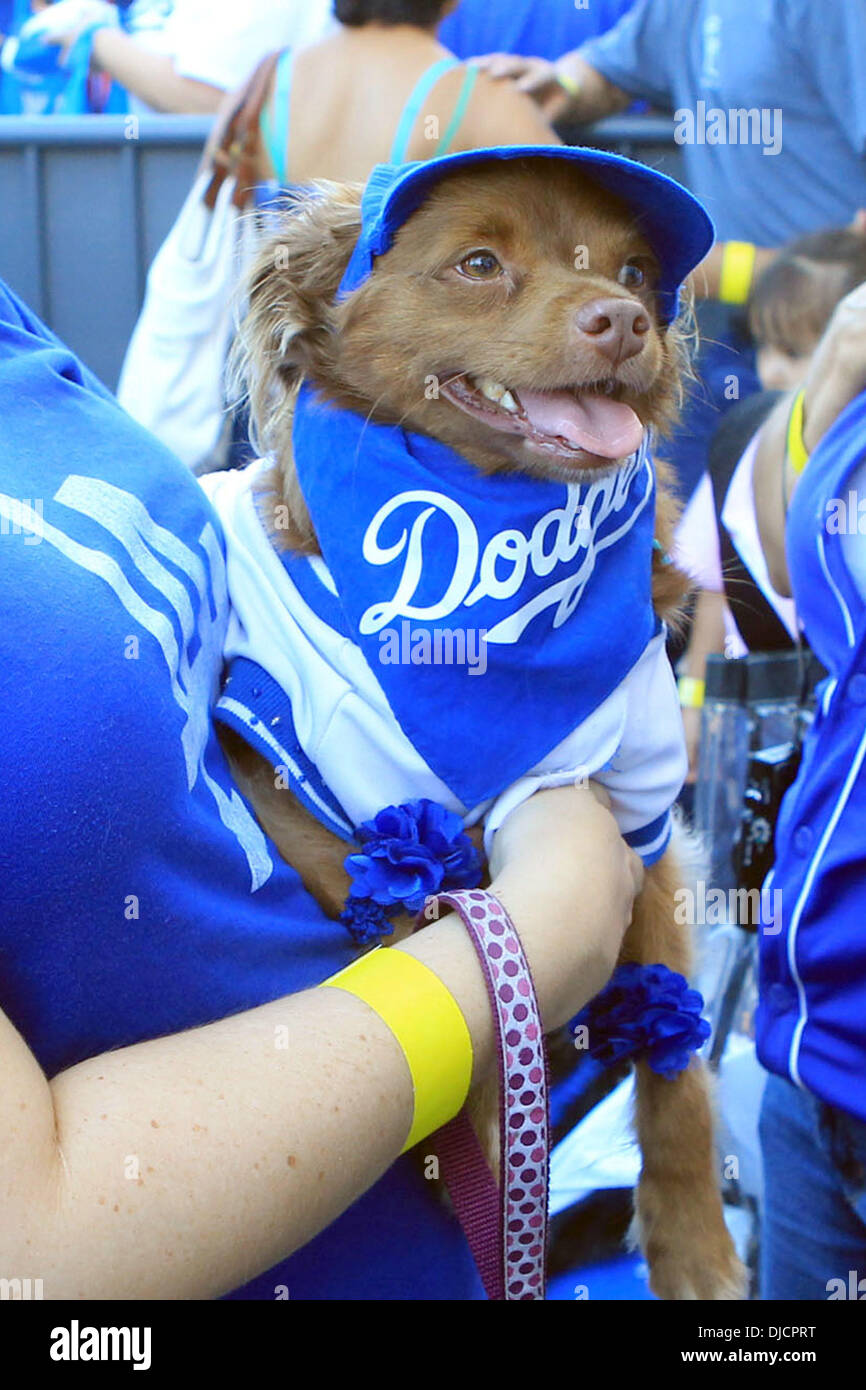 Contestant Dogs Bark in the Park held at Dodger Stadium Los Angeles