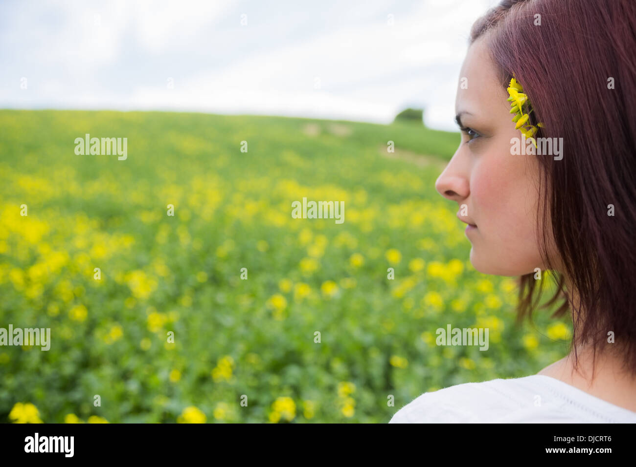 Brunette looking at field of yellow flowers Stock Photo