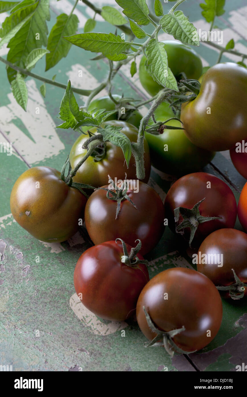 Sardian tomatoes (Solanum lycopersicum), studio shot Stock Photo