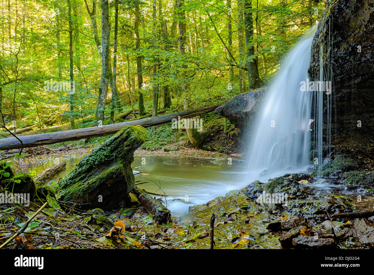 Germany, Swabian-Franconian natural preserve, waterfall, Struempfelbach Stock Photo