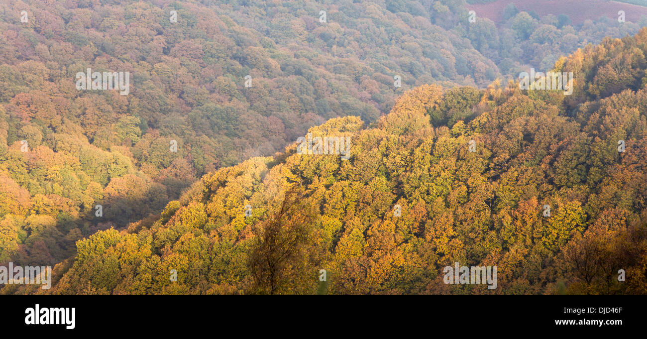 Autumn shaft of light over Horner Woods, Exmoor National Park, Somerset, England, UK Stock Photo