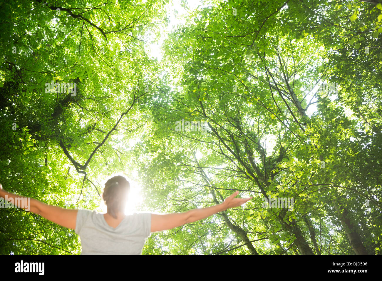 Rear view of brunette young woman standing in a forest Stock Photo - Alamy