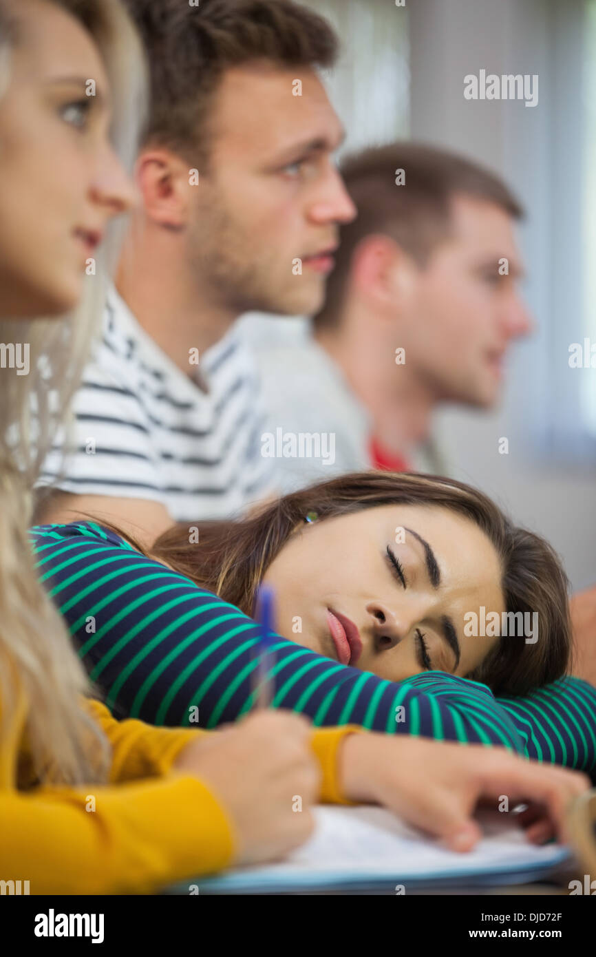 Brunette student falling asleep Stock Photo