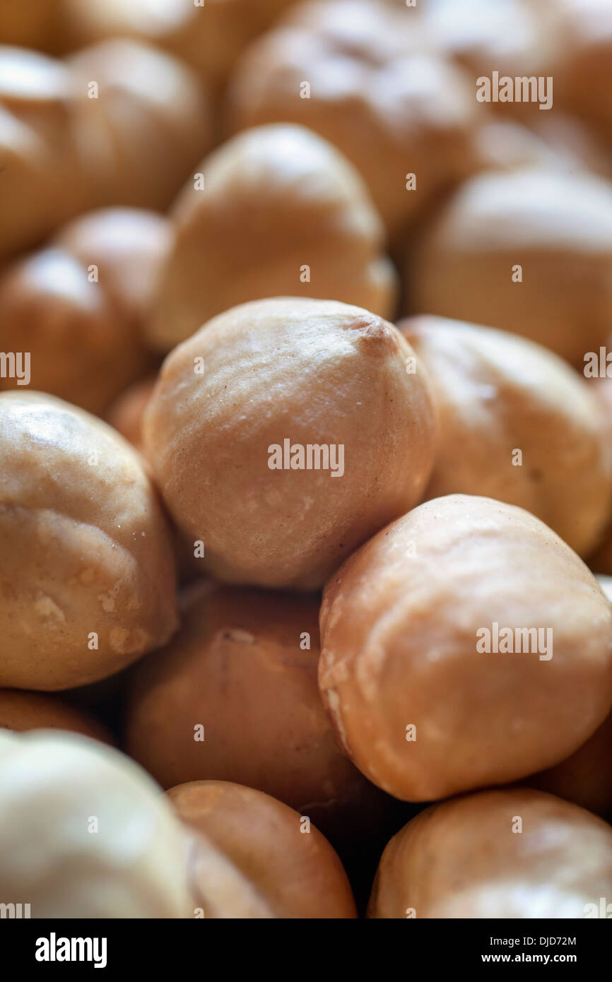 Hazelnuts. Stock Photo