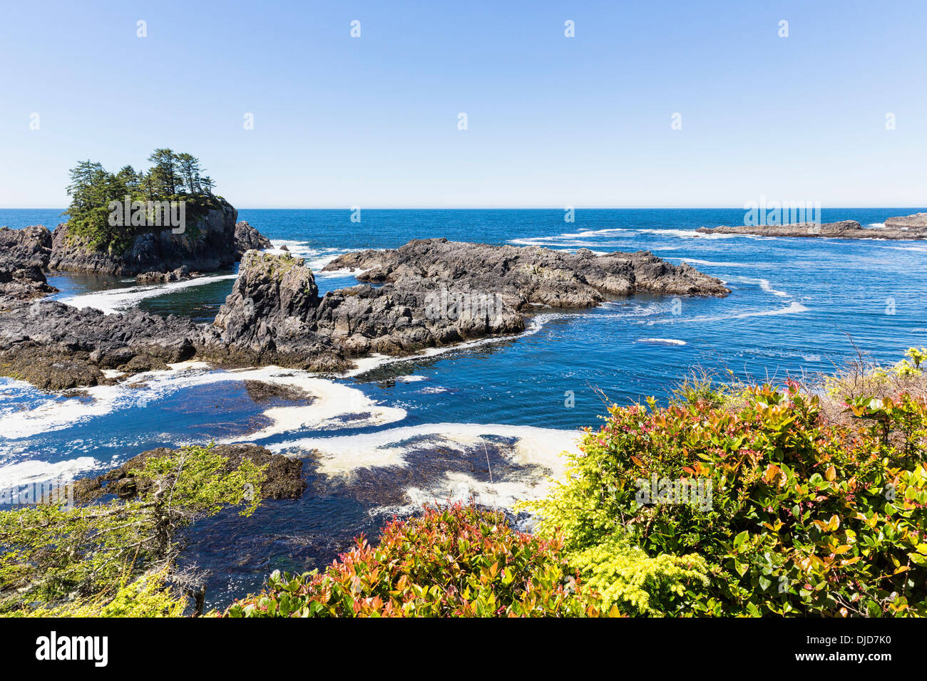 Canada, British Columbia, Vancouver Island, Pacific Rim National Park ...