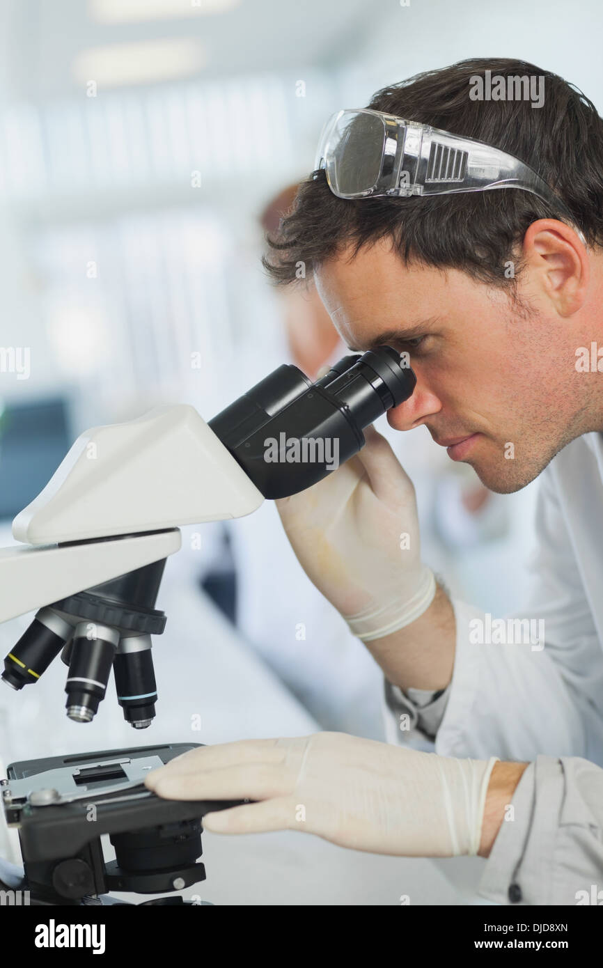 Attractive calm scientist looking through a microscope Stock Photo