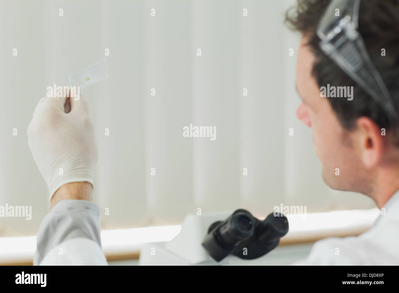 Attractive male scientist looking at microscope slide Stock Photo